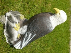 3D-Ziel Weißkopfseeadler sitzend